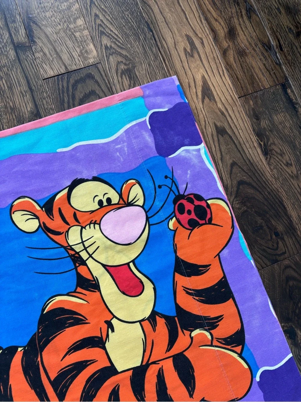Vintage Winnie the Pooh and Tigger pillowcase set